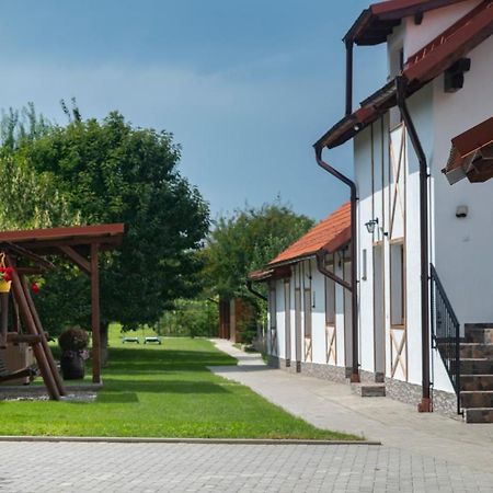 Magda Garden Hotel Cîrţişoara Bagian luar foto