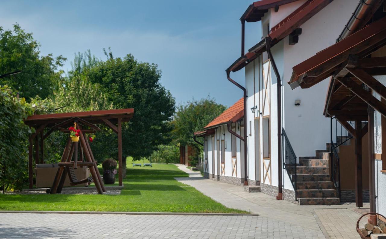 Magda Garden Hotel Cîrţişoara Bagian luar foto