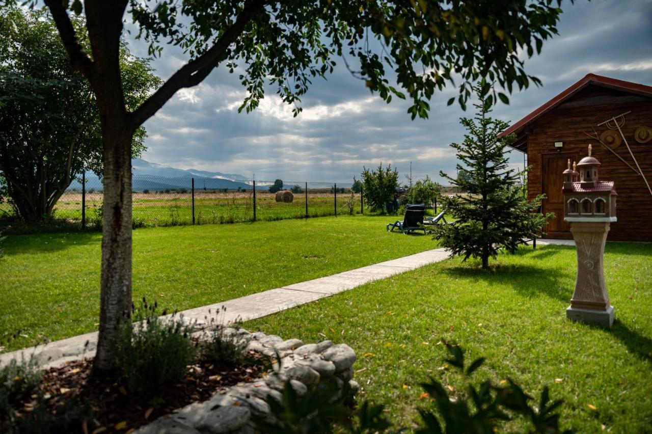 Magda Garden Hotel Cîrţişoara Bagian luar foto
