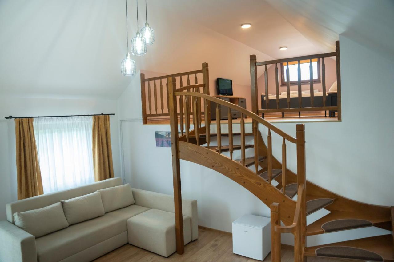 Magda Garden Hotel Cîrţişoara Bagian luar foto