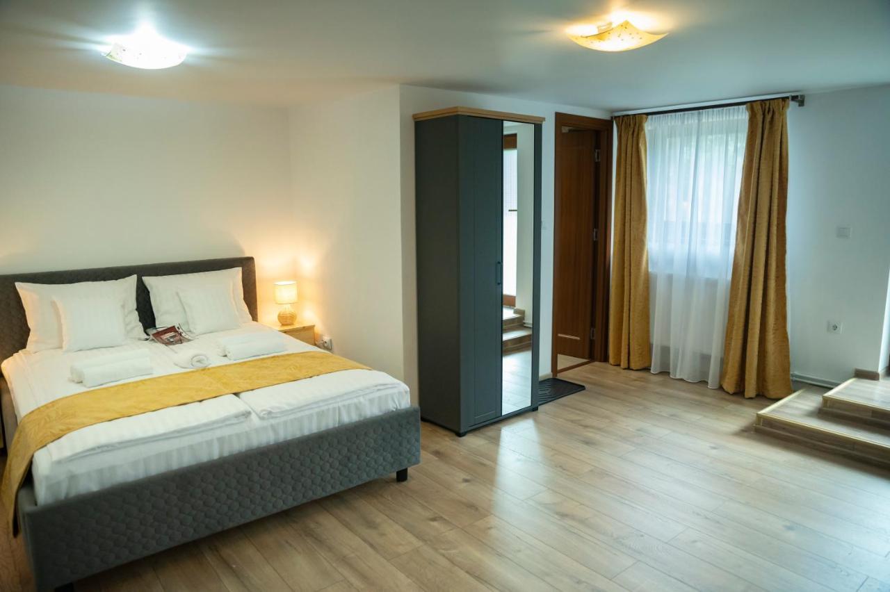Magda Garden Hotel Cîrţişoara Bagian luar foto