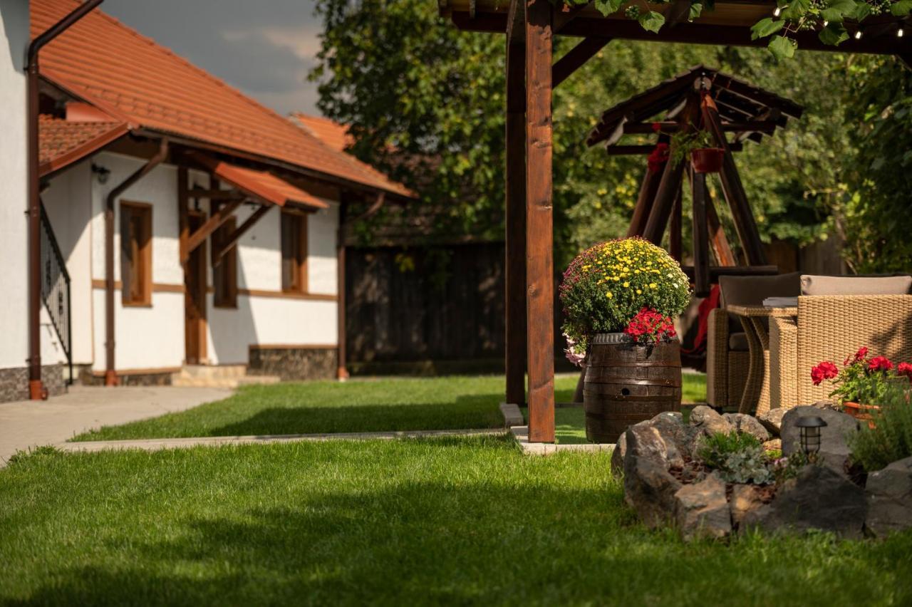 Magda Garden Hotel Cîrţişoara Bagian luar foto