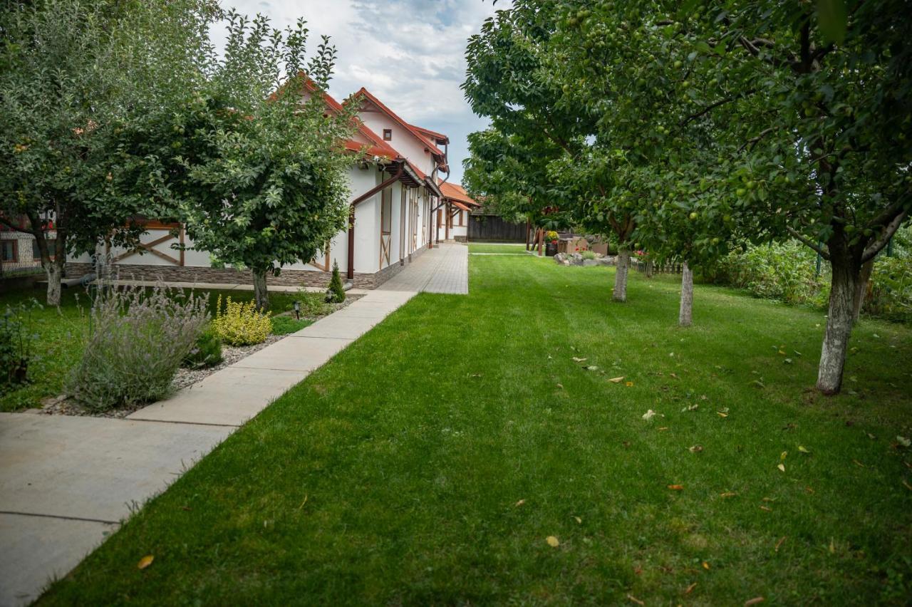 Magda Garden Hotel Cîrţişoara Bagian luar foto
