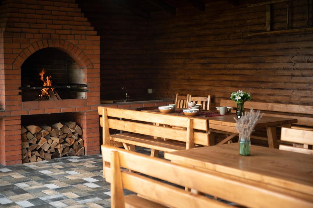 Magda Garden Hotel Cîrţişoara Bagian luar foto
