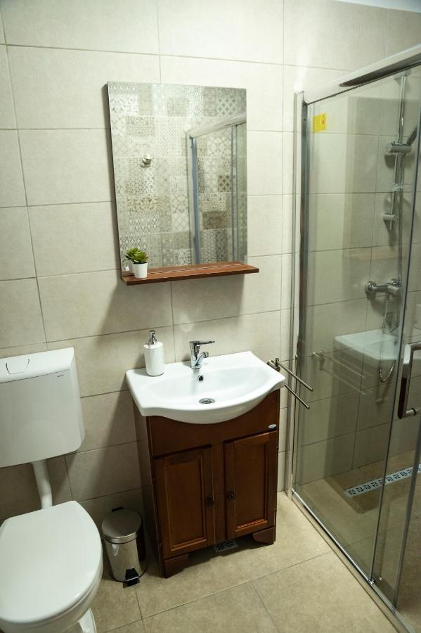 Magda Garden Hotel Cîrţişoara Bagian luar foto