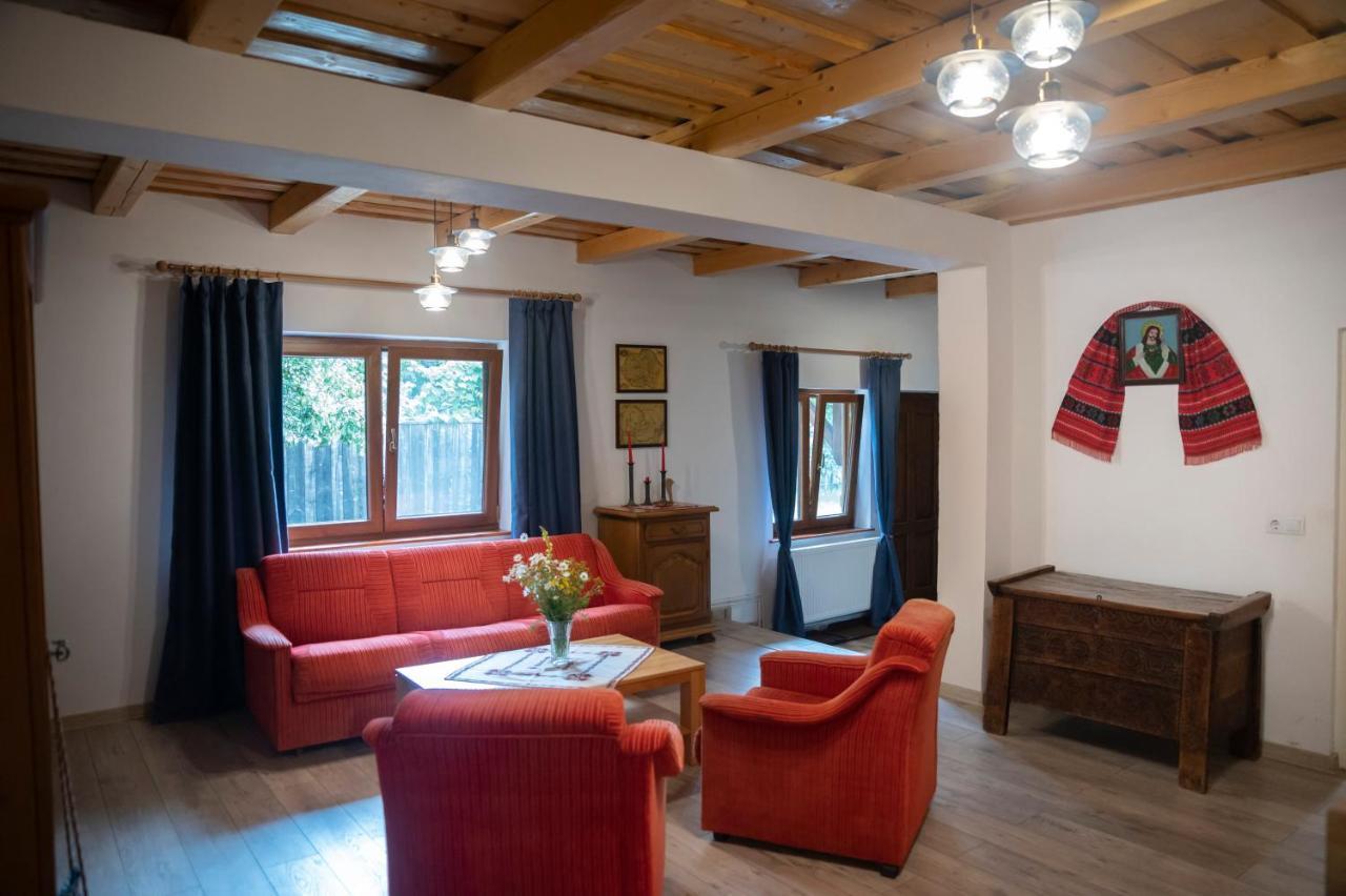 Magda Garden Hotel Cîrţişoara Bagian luar foto