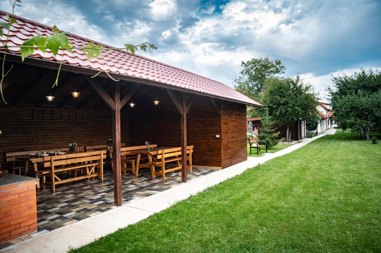 Magda Garden Hotel Cîrţişoara Bagian luar foto
