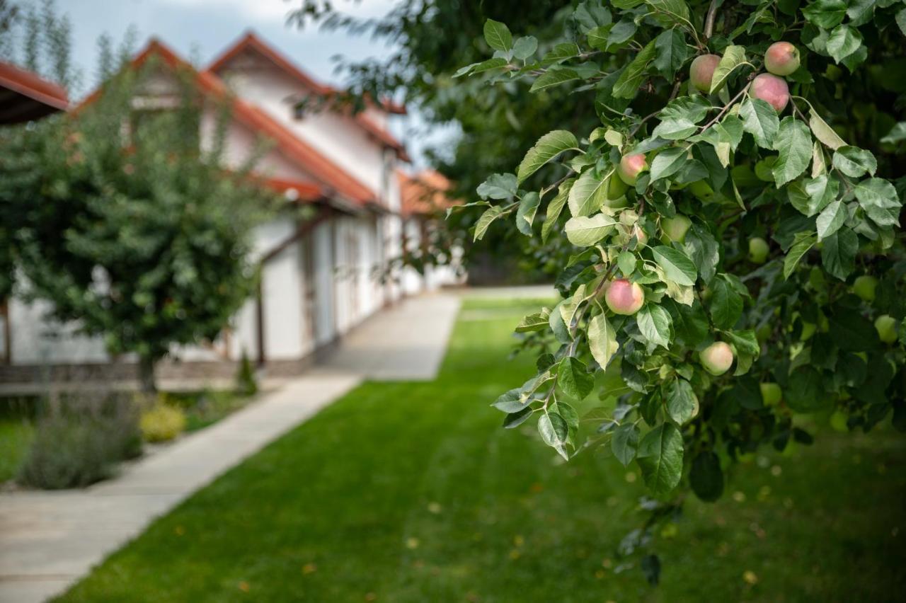 Magda Garden Hotel Cîrţişoara Bagian luar foto