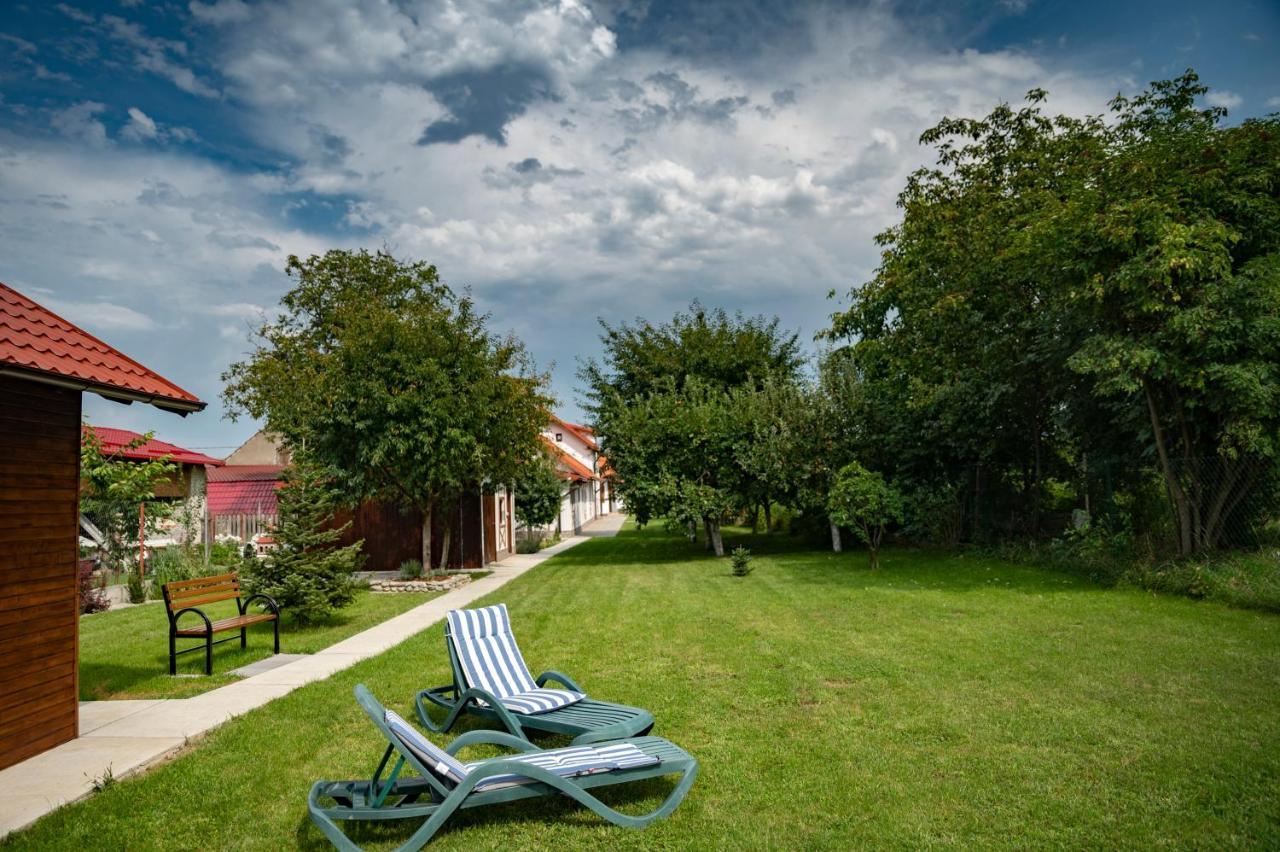 Magda Garden Hotel Cîrţişoara Bagian luar foto