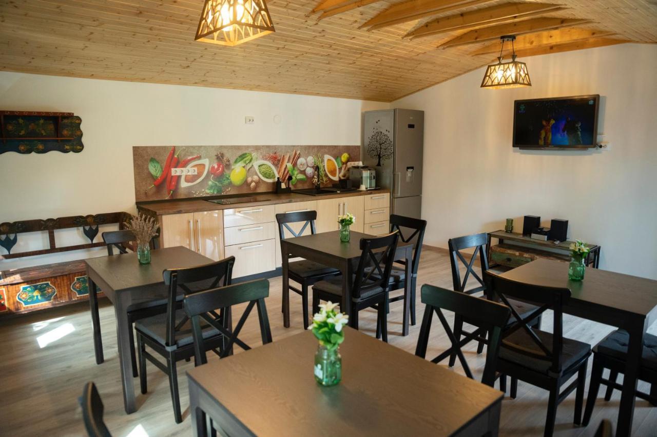 Magda Garden Hotel Cîrţişoara Bagian luar foto