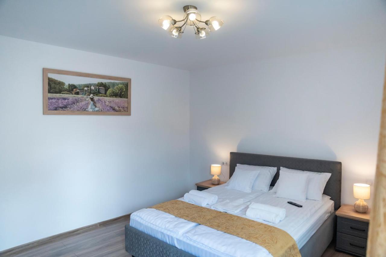 Magda Garden Hotel Cîrţişoara Bagian luar foto