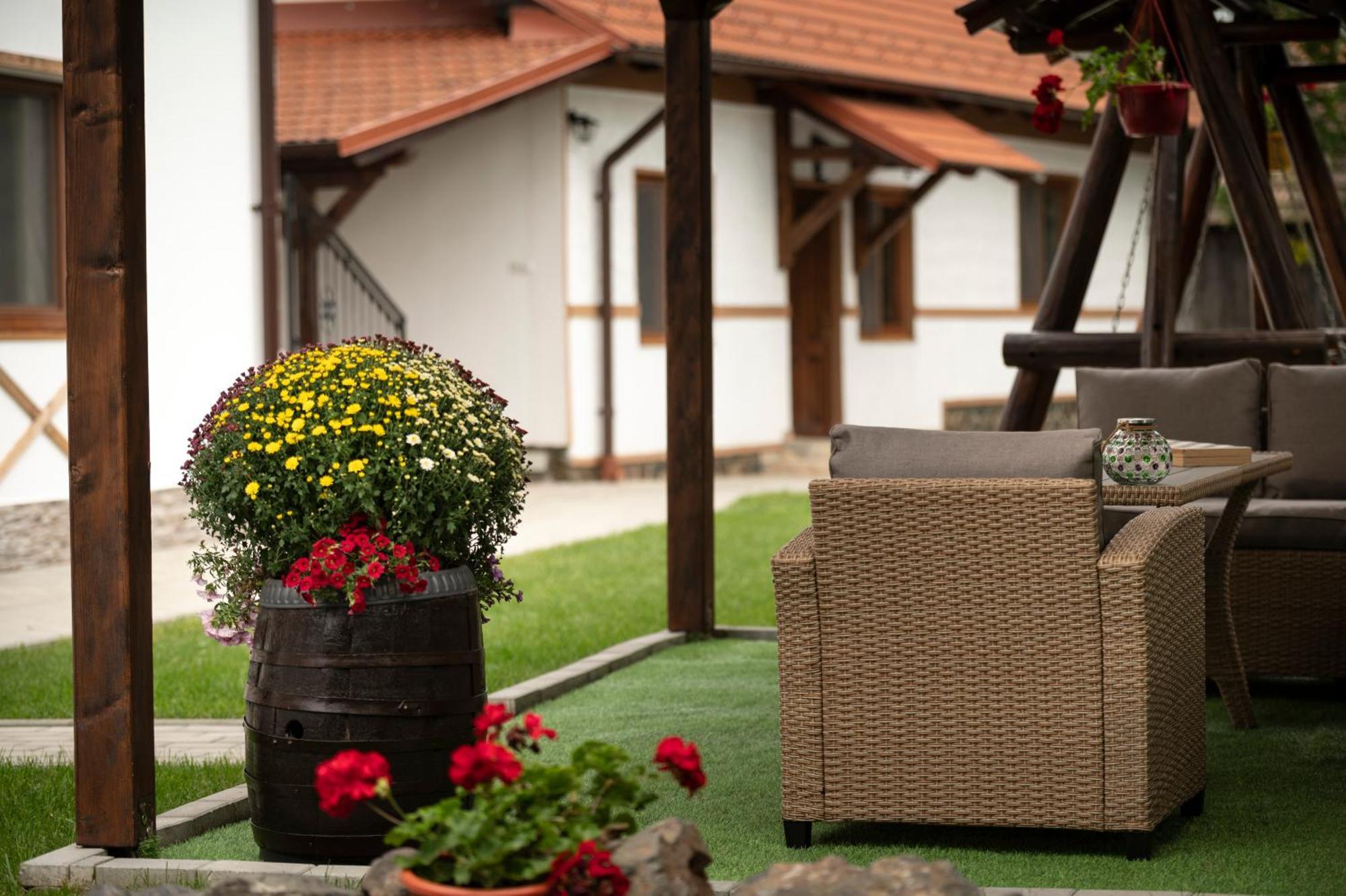 Magda Garden Hotel Cîrţişoara Bagian luar foto
